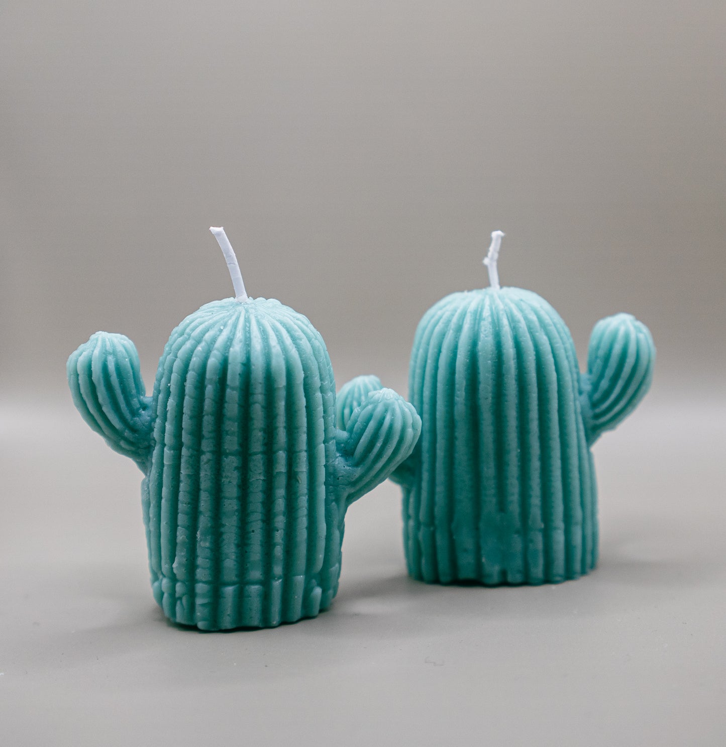 Pillar Candle Kit: Cactus