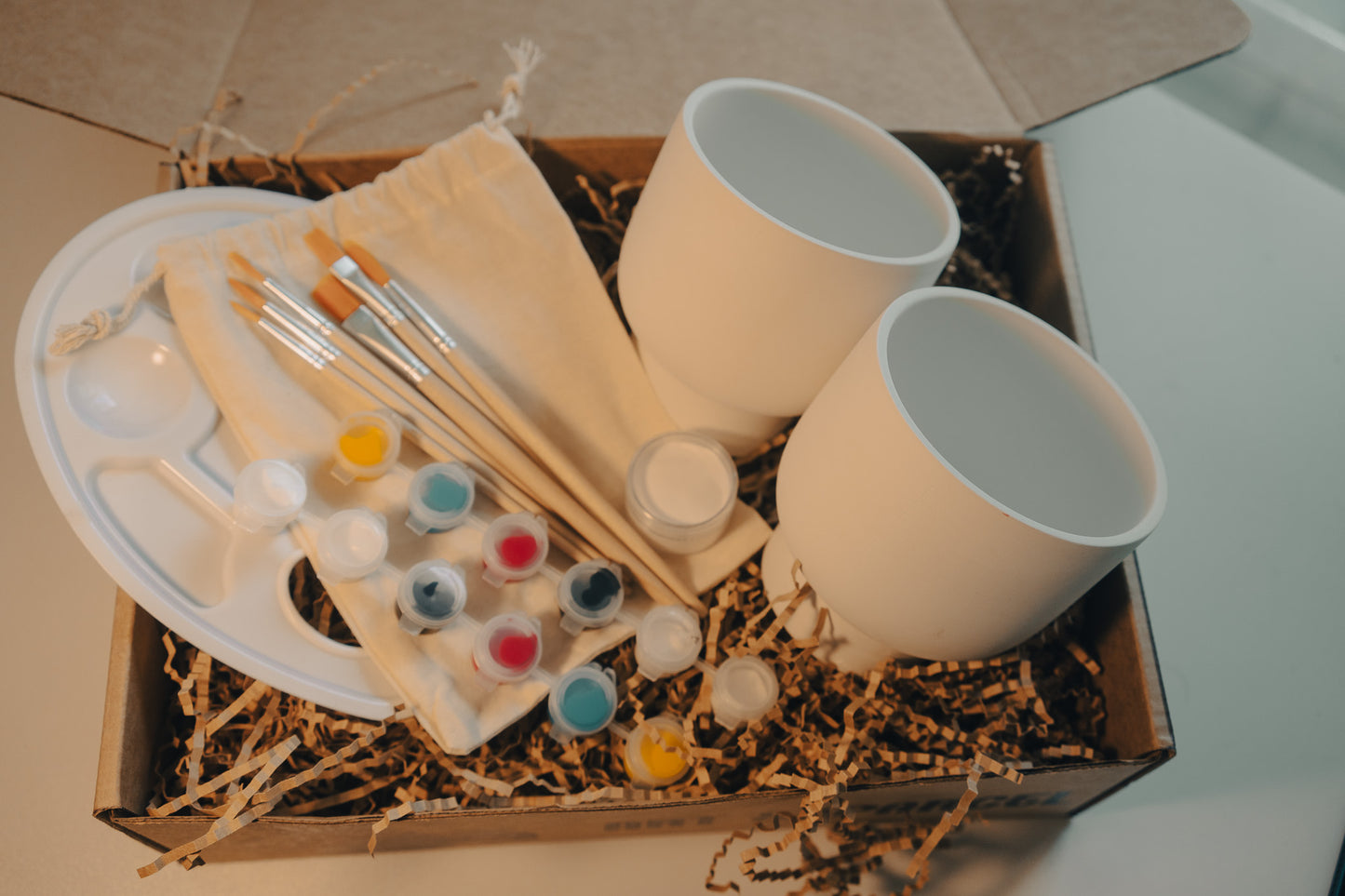 Pottery Party: Paint Your Own Ceramic Pots Kit
