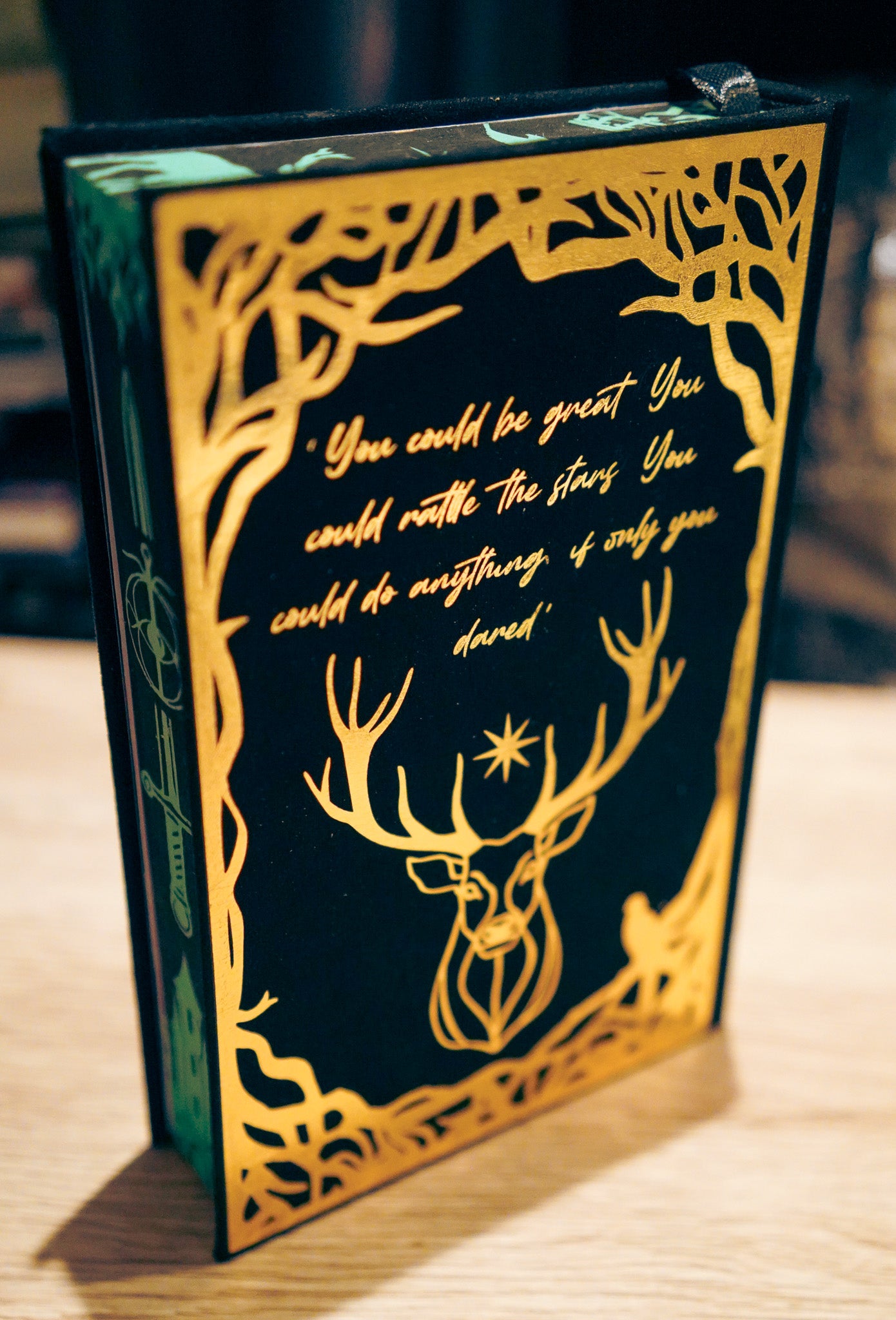 Throne of Glass – Custom Rebound Collector’s Edition