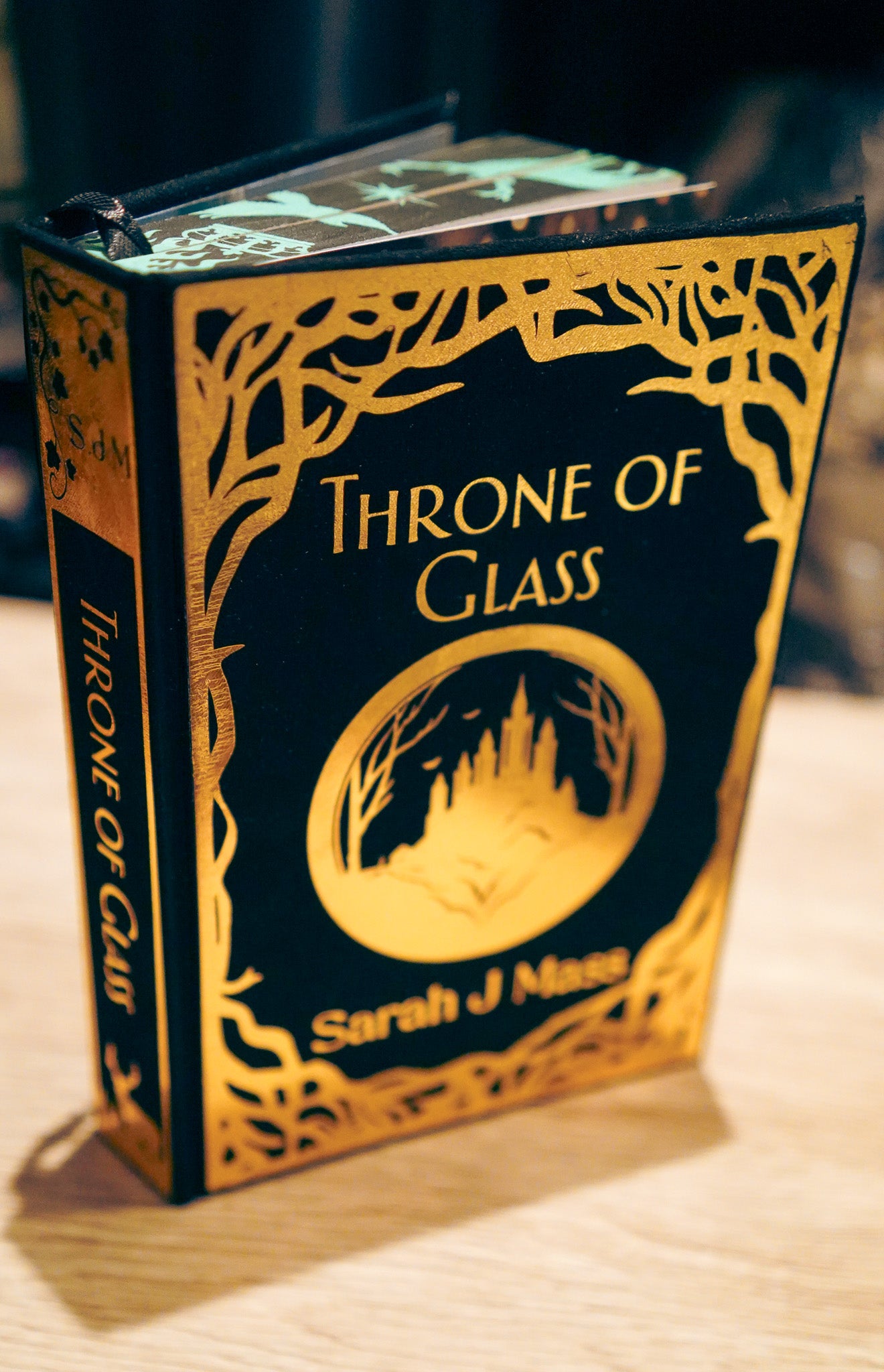 Throne of Glass – Custom Rebound Collector’s Edition