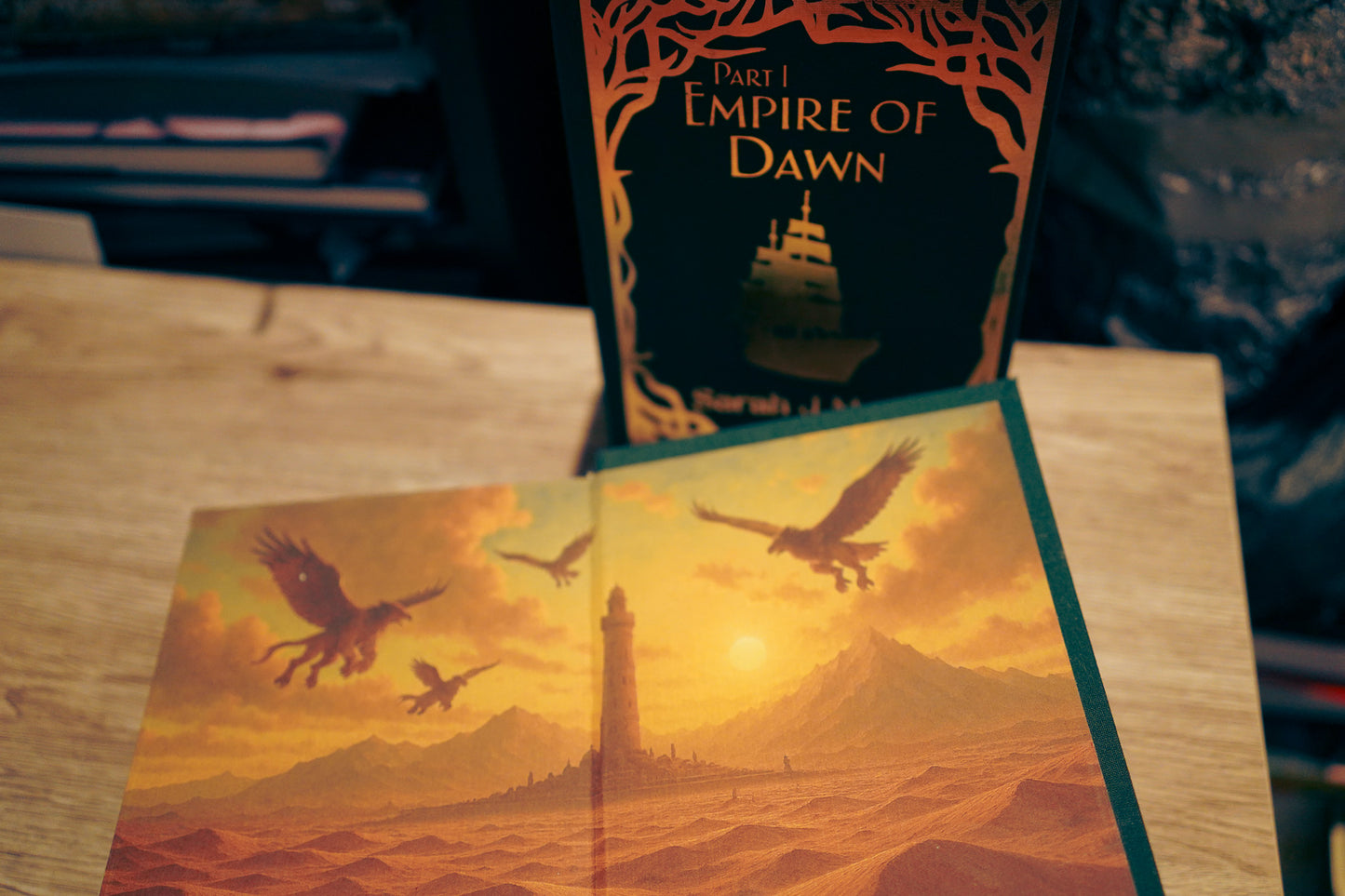 Tandem Read Rebind – Empire of Storms & Tower of Dawn (Made to Order)
