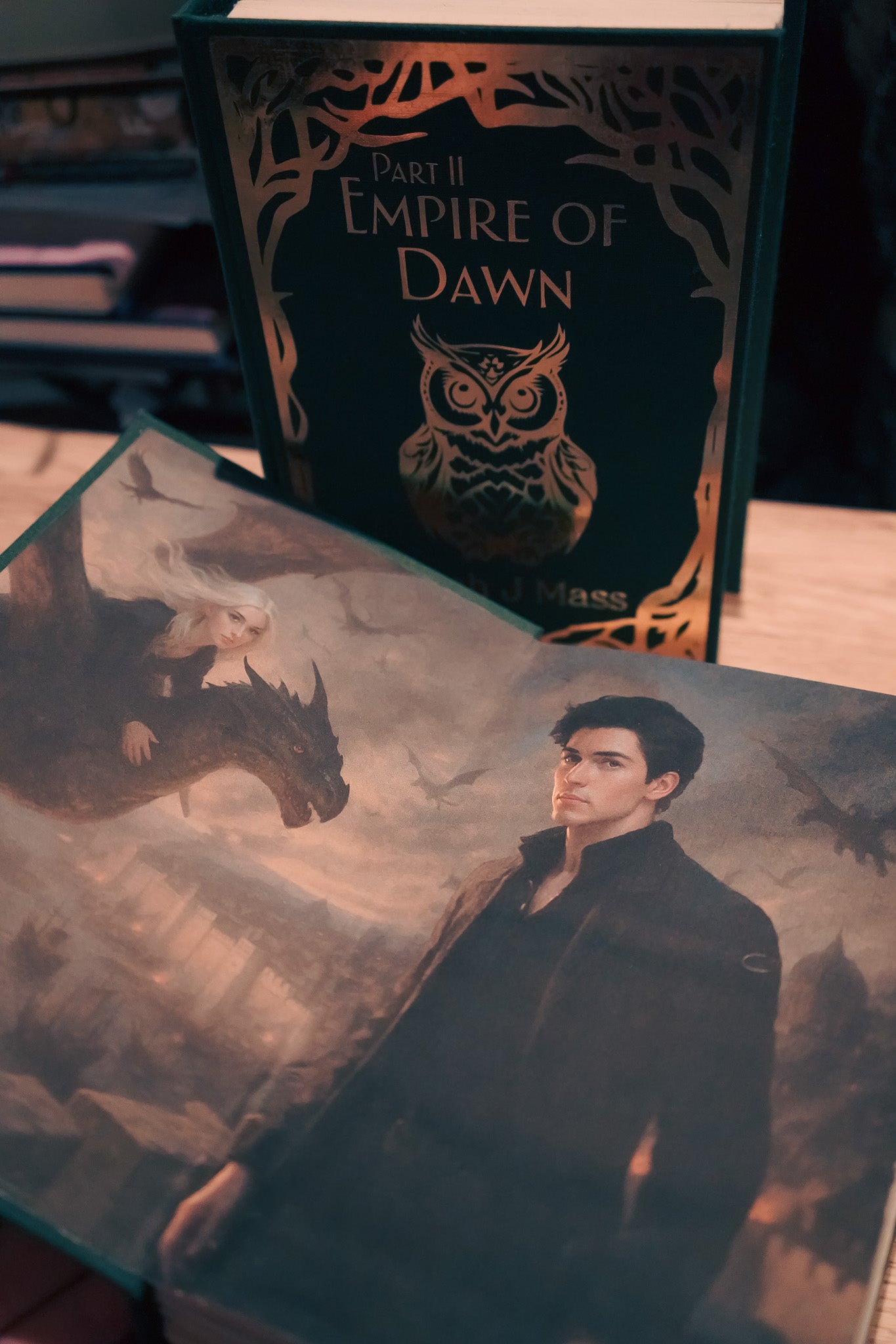 Tandem Read Rebind – Empire of Storms & Tower of Dawn (Made to Order)
