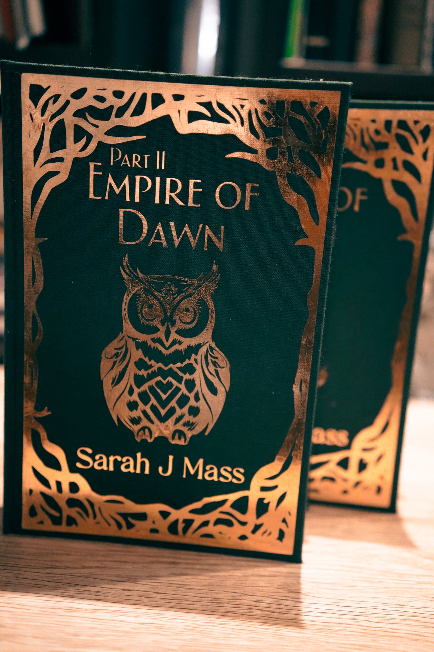 Empire of Dawn: Collector’s Two-Part Tandem Rebind of Empire of Storms and Tower of Dawn (Seconds Edition)