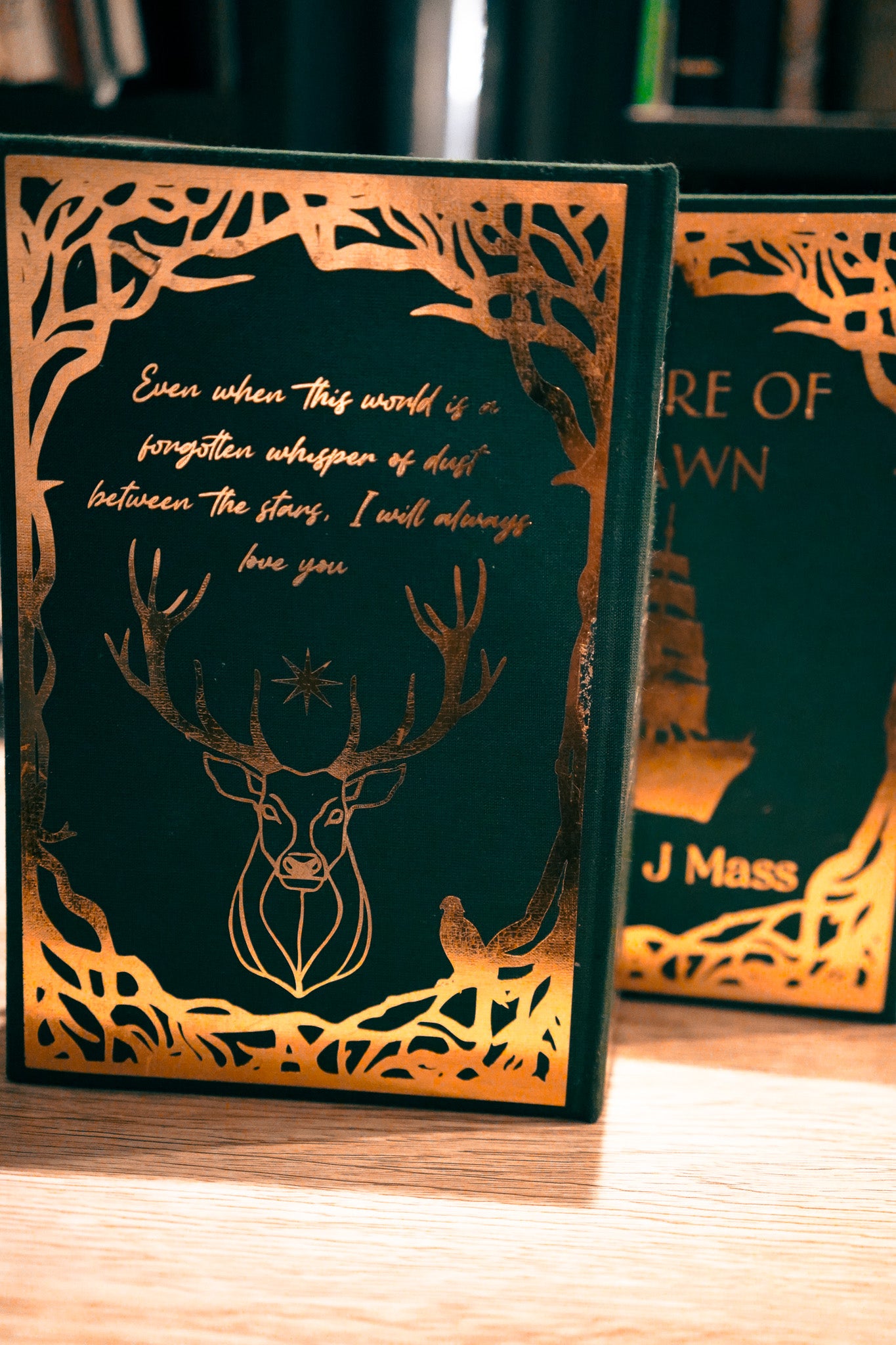 Tandem Read Rebind – Empire of Storms & Tower of Dawn (Made to Order)
