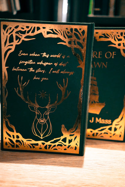Tandem Read Rebind – Empire of Storms & Tower of Dawn (Made to Order)