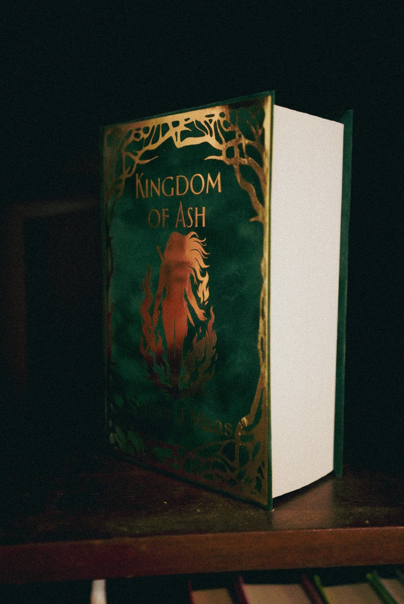 Kingdom of Ash — Handmade Rebind | Ready to Ship